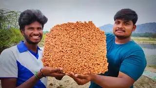 Biggest Barfi cake making /Tamil/ bhuvi/ village