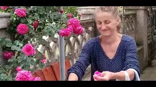 У Вселенной свой план