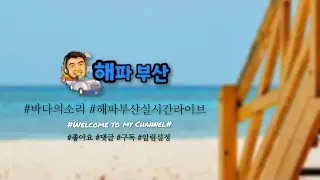 매주 일욜 2시.해파부산 실시간 유튜브 방송합니다.#바다의소리해파부산실시간라이브 #시각장애디지털배움터 #오늘신청곡테마 의식주 입다.먹다.자다.