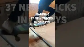 FAKIE POP ROCK REVERT! Day 12 of Learning 37 NEW TRICKS in 37 DAYS!  
