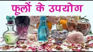 EVS -  फुलवारी - भाग 1 - फूलों के उपयोग | The Valley of Flowers - Part 1 - Uses of flowers - Hindi