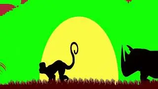 African Animal Stampede Green Screen for 