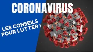 CORONAVIRUS ( COVID 19), les grands principes pour renforcer le sytème immunitaire !