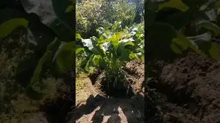 хрен нам помешал 