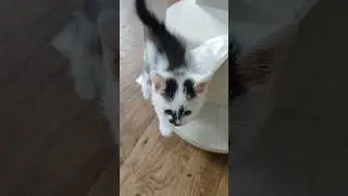 Моя Спасённая Малышка Мила 