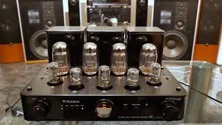 Tandberg Studio Monitor on Willsenton R8 valve amplifier