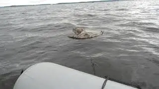 Водяной якорь парашют для торможения лодки