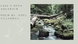#nature, #relaxingmusic, Amazing Nature Scenery & Relaxing Music with poetry - Lake's Open Aquarium