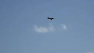 Camo L-39