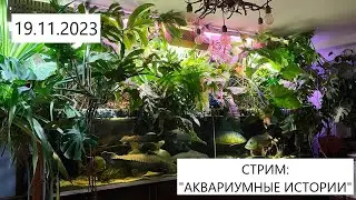 19.11.2023 - Разбираем необычные случаи при обслуживанием и установке аквариумов в нашей практике.