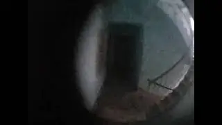 20220726 190104 они сумасшедшие загнобленные немцы ничего они не добьются