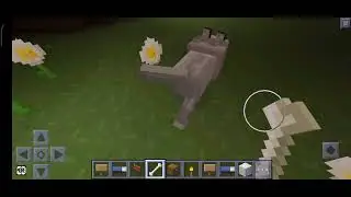 dogs want to kill me  I run