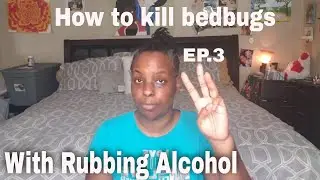 HOW TO KILL BEDBUGS | WITH RUBBING ALCOHOL | EP.3