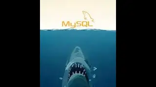 How to attack MySQL Database  | CTF