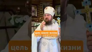 цель нашей жизни - преображение #преображениегосподне #преображение #цельжизни #цель