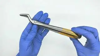 Байонетные щипцы для корней и остатков зубов American Gold