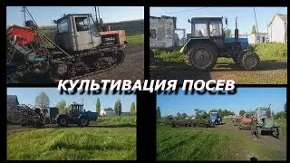 ПОСЕВ ПОДСОЛНУХА НА ГУСЕНИЧНОМ Т150 КУЛЬТИВАЦИЯ НА ХТЗ 17221 ПОДКОРМКА ОЗИМОЙ ПШЕНИЦЫ НА МТЗ 1025