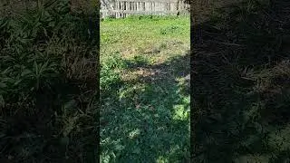 Не будь справедливей Господа !