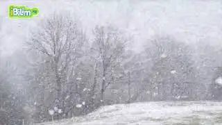 Кар деген эмне? Кар бүртүкчөсү кантип пайда болот?