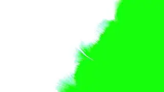 Background videos, transitions. Animation on a green background. Green Screen