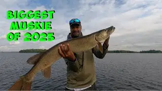 PB Muskie (Pigeon Lake)