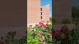 #AKU #nature #viralvideo