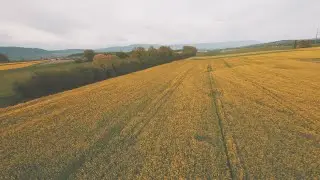 FPV Cloud Session | Gyroflow | Gopro Session 5