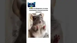 Сколько роллов заказать | 