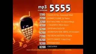 Реклама на BRIDGE TV 2012 (21/70)