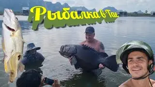 62. РЫБАЛКА ЮРСКОГО ПЕРИОДА В ТАЙЛАНДЕ