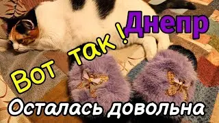 👿ДНЕПР 💜ВОТ ТАК ‼️ОСТАЛАСЬ ДОВОЛЬНА🩰16 августа 2024 г.