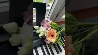 Красива музика для душі