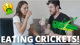 WE TRIED EATING CRICKETS | Here's what happened