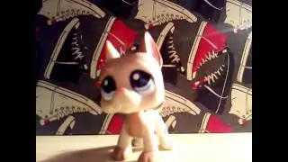 LPS Vtipy 3