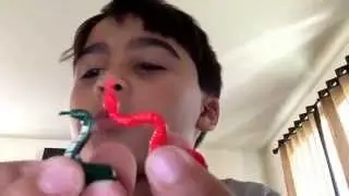 Rickson showing Lego animals and the city. Rickson mostrando os animais e a cidade do Lego