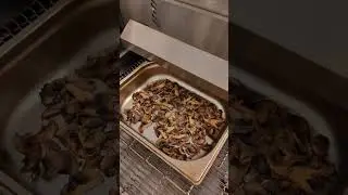 Грибы в RoboChef 460 M