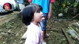 liat kambing ~ berani tapi takut