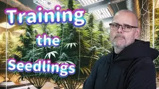 Seedling Training Challenges: Can It Be Done? #marshydro #ts1000 #fce3000 #vg80