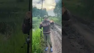 РЫБАЛКА. Жизнь за городом. 