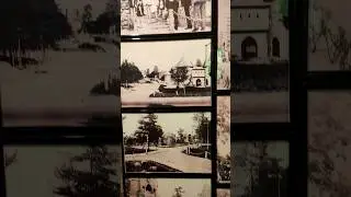 Прогулка по Сосновому Бору. Кофейня 