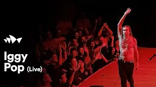 Iggy Pop - 