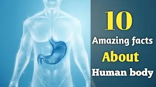 10 Amazing human body facts 😱ll educational video ll #education #study #exam #viral #bodyfact