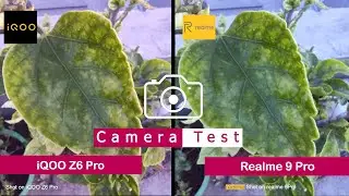 iQOO Z6 Pro VS Realme 9 Pro | Camera Comparison | Camera Test |