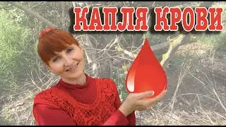 14 июня День донора Праздник Каждый День Рита Некрасова