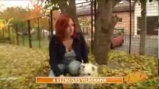 Gaál Noémi Aktív 2013 10 16