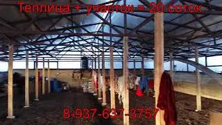Сельхоз-ферма продается