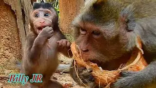 LITTLE BABY BILLY JR SO GLAD THAT MOM BERTHA SHARING!