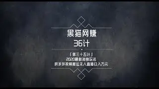 黑猫网赚36计第35计：2020年最新淘客项目，无人直播日入万元