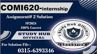 COMI620 internship report Assignment 2 solution comi620 