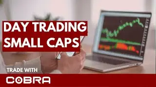 Finding Success In Small Cap Stocks